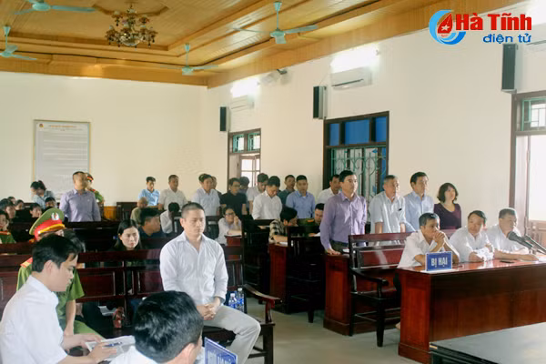 xu vu cong ty ma sci vang mat nhieu nguoi co quyen nghia vu lien quan