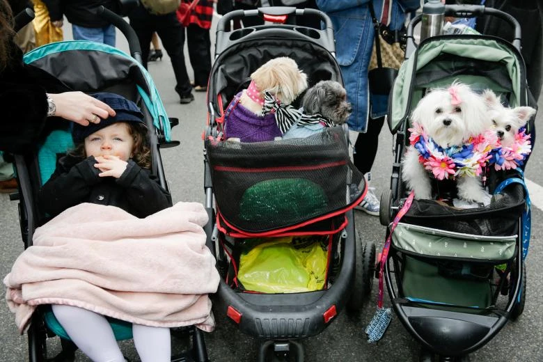 dieu hanh mung le phuc sinh day mau sac o new york