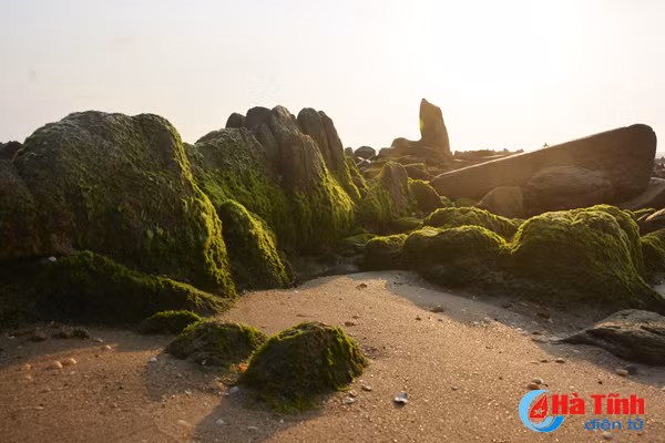 Check in bãi đá rêu xanh mê hoặc lòng người ở Kỳ Anh