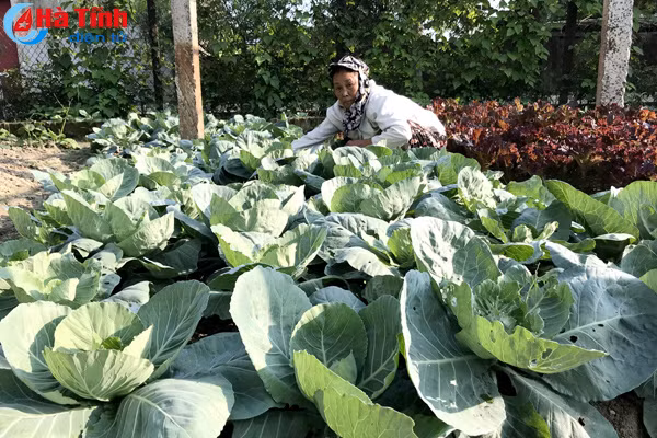 an tuong khu dan cu kieu mau o huyen ky anh