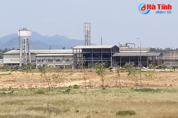 nong dan vung thuong ky anh tai dau tu vung nguyen lieu san