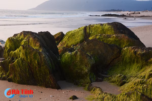 Check in bãi đá rêu xanh mê hoặc lòng người ở Kỳ Anh