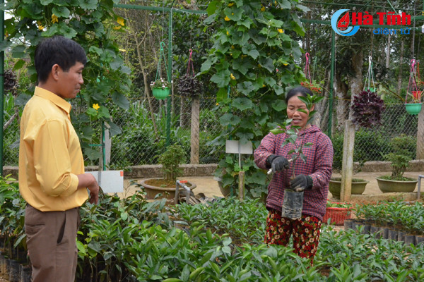 ngam khu vuon giai dac biet cuoc thi kdc kieu mau vuon mau ha tinh