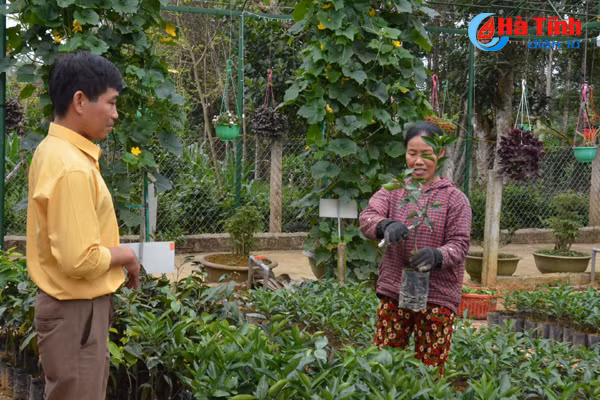 ngam khu vuon giai dac biet cuoc thi kdc kieu mau vuon mau ha tinh