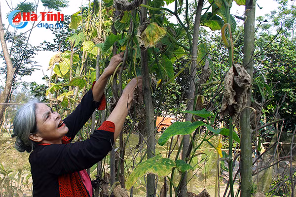 dung mo sat thach khe bai 13 chua muon de khai thac tai nguyen noi