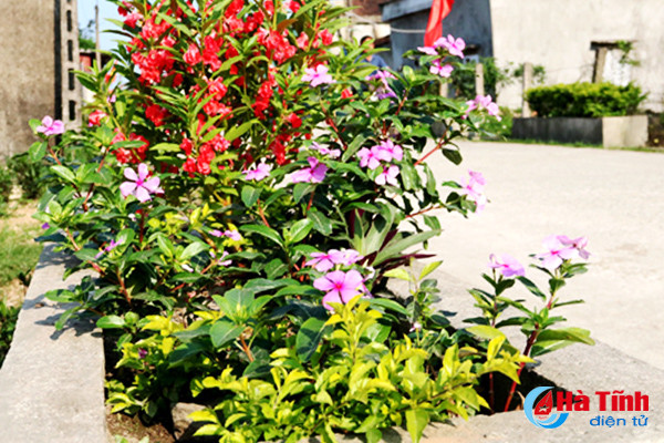 an tuong khu dan cu kieu mau o huyen ky anh