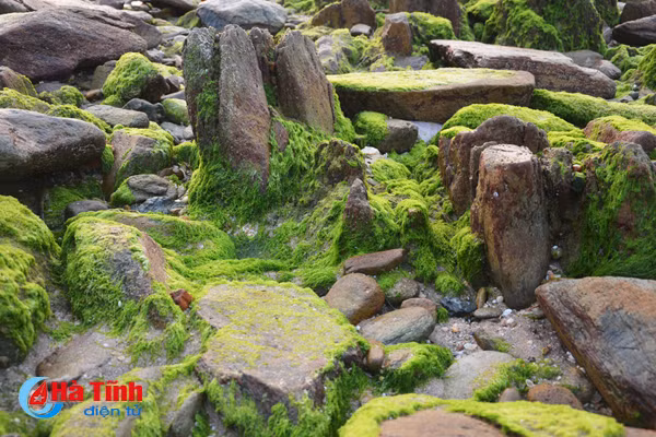 Check in bãi đá rêu xanh mê hoặc lòng người ở Kỳ Anh