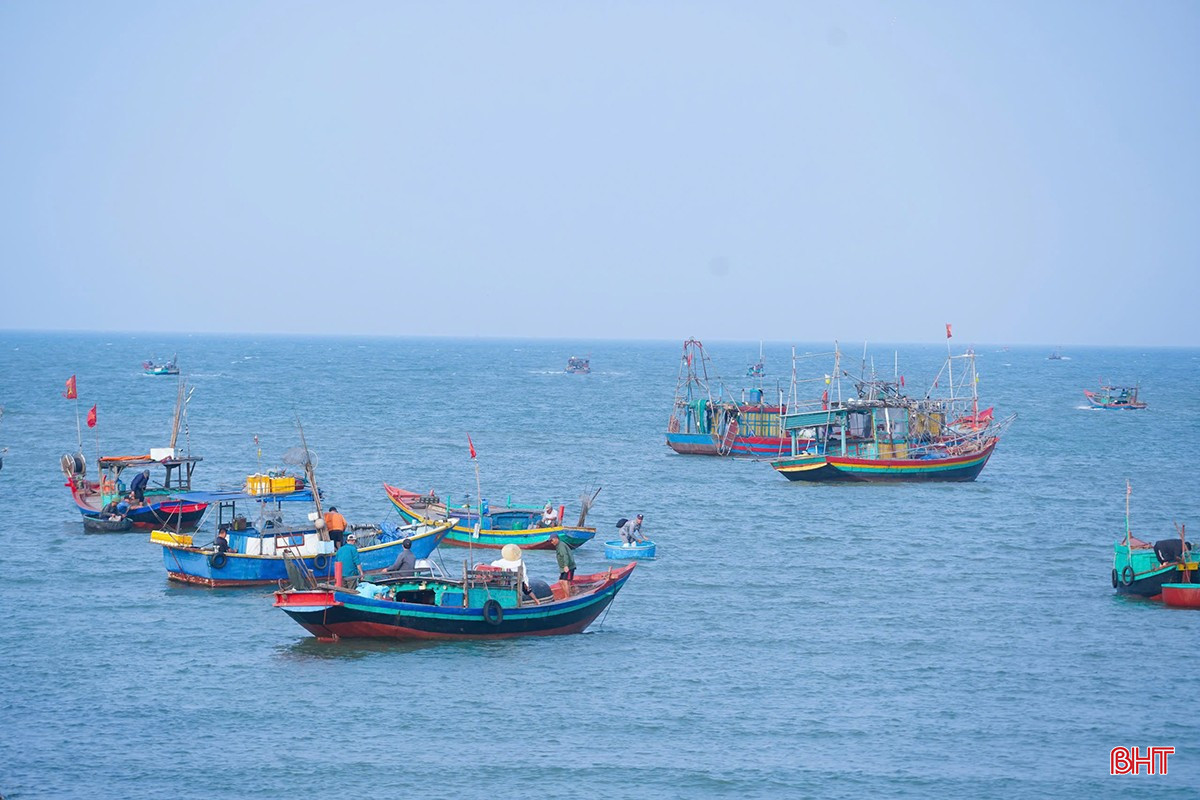 Tại bến cá Cồn Gò (xã Cẩm Nhượng, huyện Cẩm Xuyên), không khí lao động diễn ra hối hả.