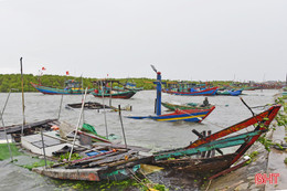 Tàu thuyền hư hỏng “bủa vây” khu neo đậu: Cần giải pháp xử lý dứt điểm!