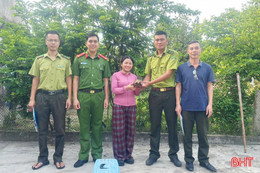 Bàn giao rùa núi vàng quý hiếm để thả về tự nhiên