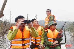 Quyết liệt, chủ động bảo vệ rừng dịp cao điểm