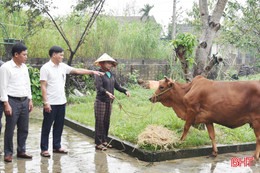 Quyết liệt trong chỉ đạo, trách nhiệm khi giúp đỡ người nghèo