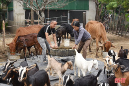 Lộc Hà hướng tới mục tiêu “kép” khi thực hiện Chương trình giảm nghèo