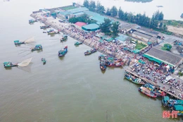 Ngư dân sẵn sàng đi tìm "lộc biển"