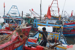 Ngư dân Hà Tĩnh hối hả vươn khơi 