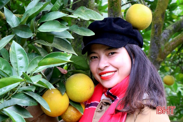 Thỏa sức trải nghiệm tour du lịch đầu năm mới vùng trà sơn Can Lộc
