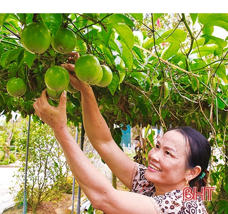 Tin yêu và khát vọng