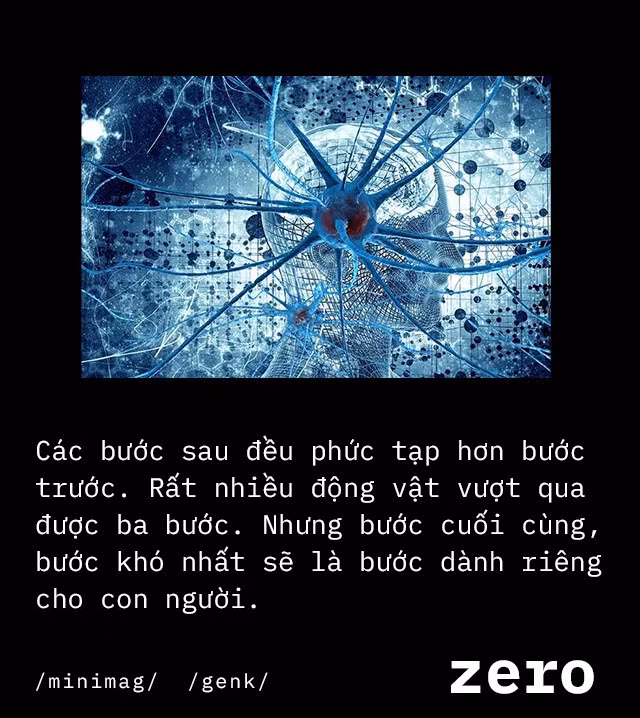 Số “0” - phát minh vĩ đại của nhân loại, đến não bộ con người cũng không hiểu hết