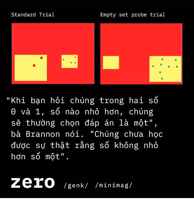 Số “0” - phát minh vĩ đại của nhân loại, đến não bộ con người cũng không hiểu hết