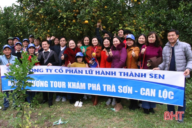 Thỏa sức trải nghiệm tour du lịch đầu năm mới vùng trà sơn Can Lộc