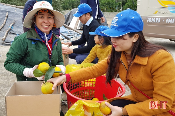 Thỏa sức trải nghiệm tour du lịch đầu năm mới vùng trà sơn Can Lộc