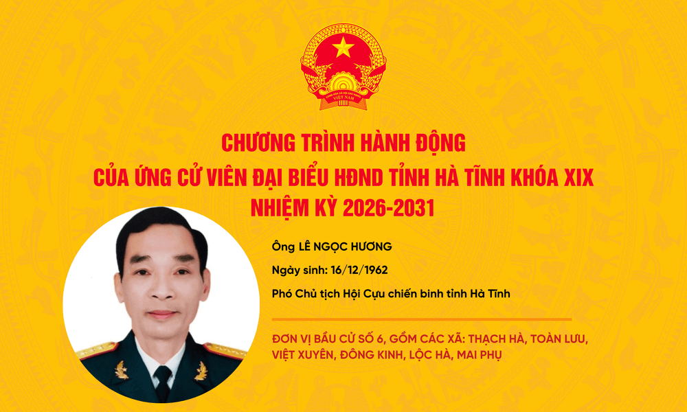 ung-vien-hdnd-tinh-ngoc-3.png