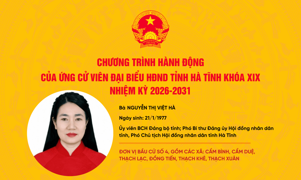 nguyen-thi-viet-ha-2.png