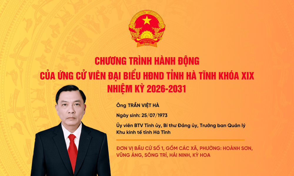 ung-vien-hdnd-tinh-ngoc-1.png