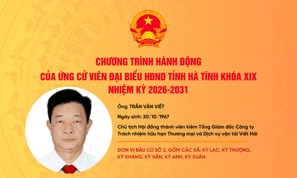 ung-vien-hdnd-tinh-ngoc-4.png