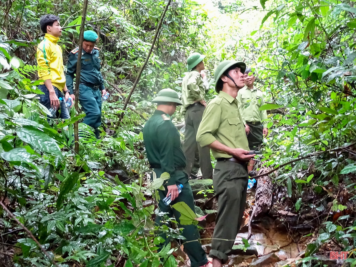 Khai thác hiệu quả lợi thế rừng và đất lâm nghiệp, góp phần tái cơ cấu nông nghiệp
