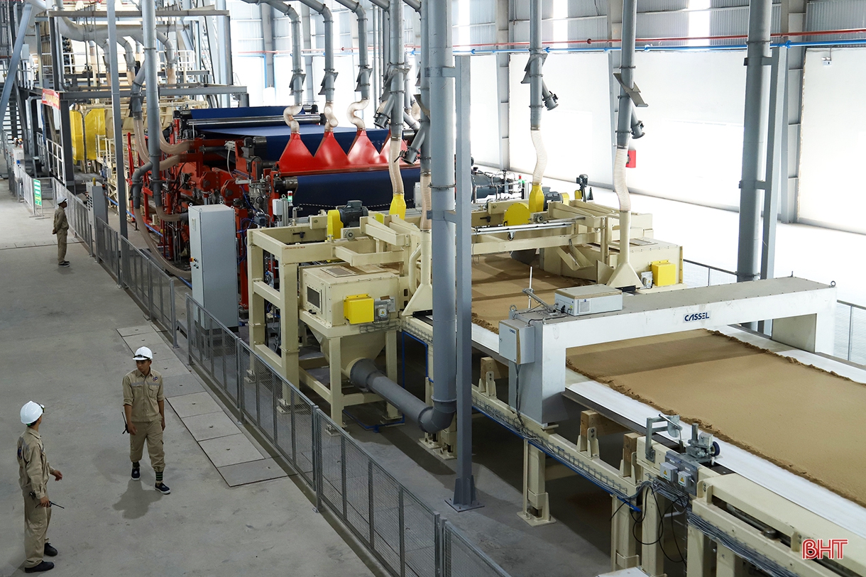 Khai thác hiệu quả lợi thế rừng và đất lâm nghiệp, góp phần tái cơ cấu nông nghiệp