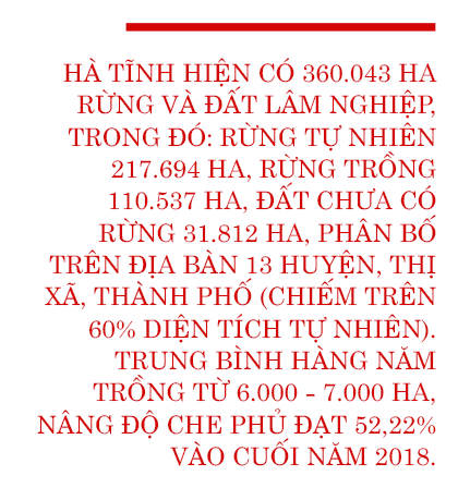 Khai thác hiệu quả lợi thế rừng và đất lâm nghiệp, góp phần tái cơ cấu nông nghiệp