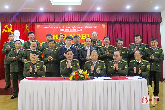 Khai thác hiệu quả lợi thế rừng và đất lâm nghiệp, góp phần tái cơ cấu nông nghiệp