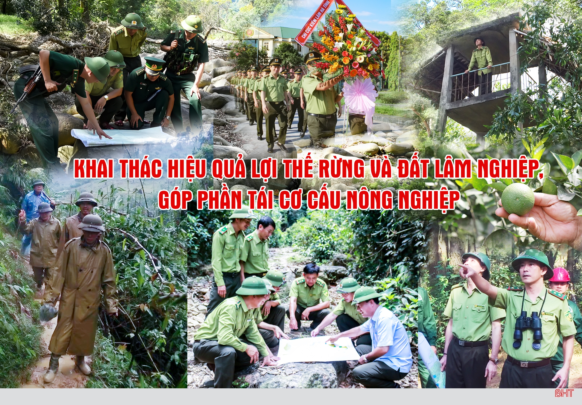 Khai thác hiệu quả lợi thế rừng và đất lâm nghiệp, góp phần tái cơ cấu nông nghiệp
