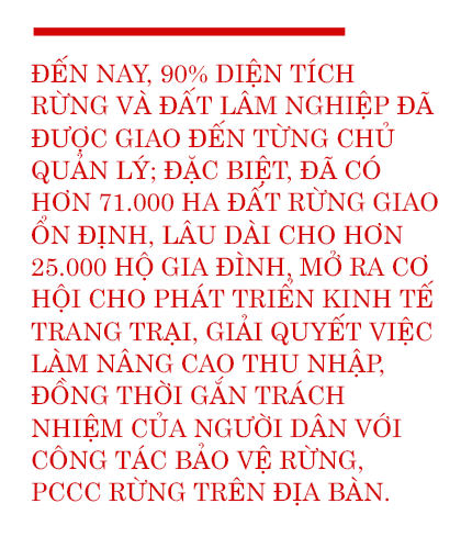 Khai thác hiệu quả lợi thế rừng và đất lâm nghiệp, góp phần tái cơ cấu nông nghiệp
