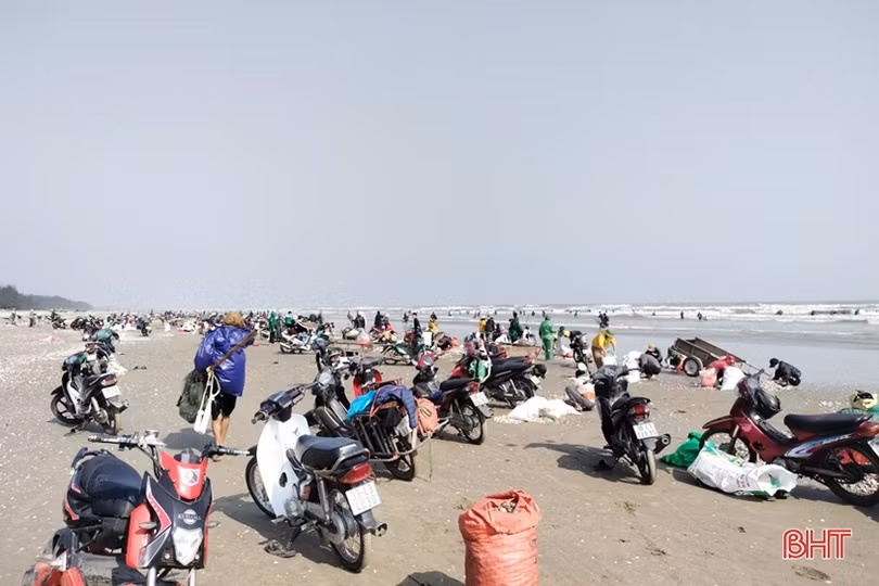 Ngư dân Lộc Hà phấn khởi cào “lộc biển”, thu tiền triệu đầu năm