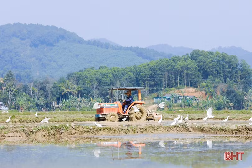 “Mùa xuân như câu hát bắt đầu”