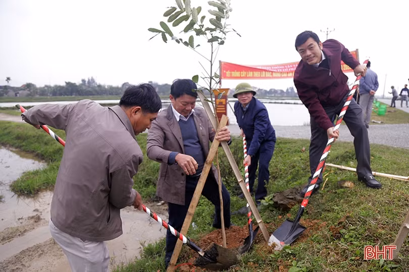 Phát động “Tết trồng cây, nâng cao an toàn giao thông”