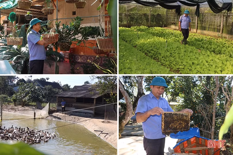 Mùa xuân xanh ở khu dân cư kiểu mẫu miền biên giới Hương Sơn