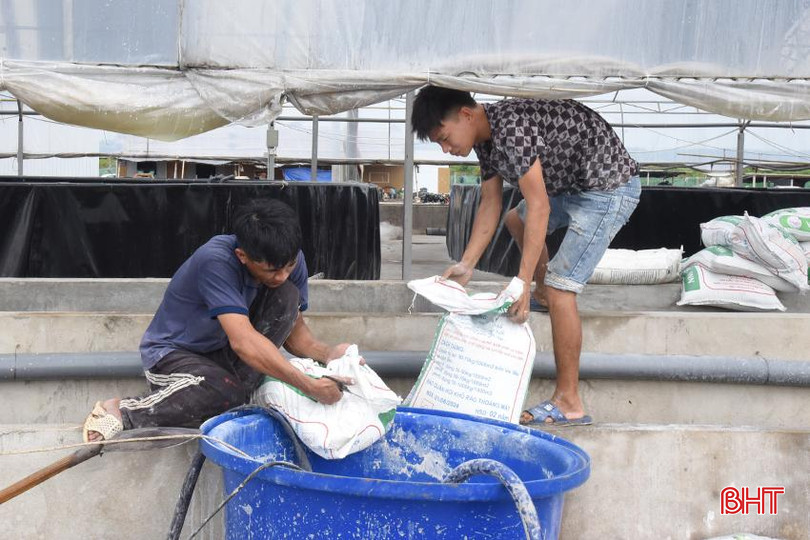 Công nhân Công ty Cổ phần Thủy sản Long Vân đánh vôi, hóa chất xử lý ao hồ, nguồn nước trước khi bắt đầu vụ mới.