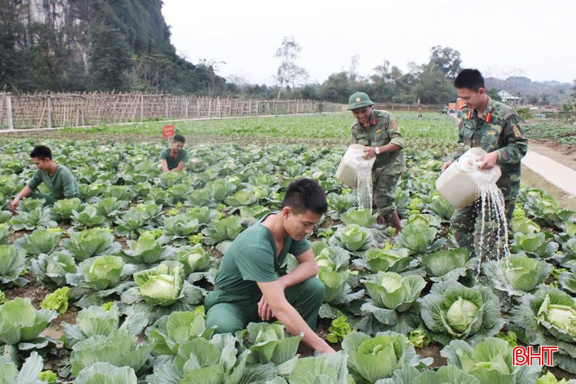 Cán bộ, chiến sĩ Trung đoàn 335, Sư đoàn 324 đẩy mạnh tăng gia sản xuất cải thiện bữa cơm cho bộ đội.