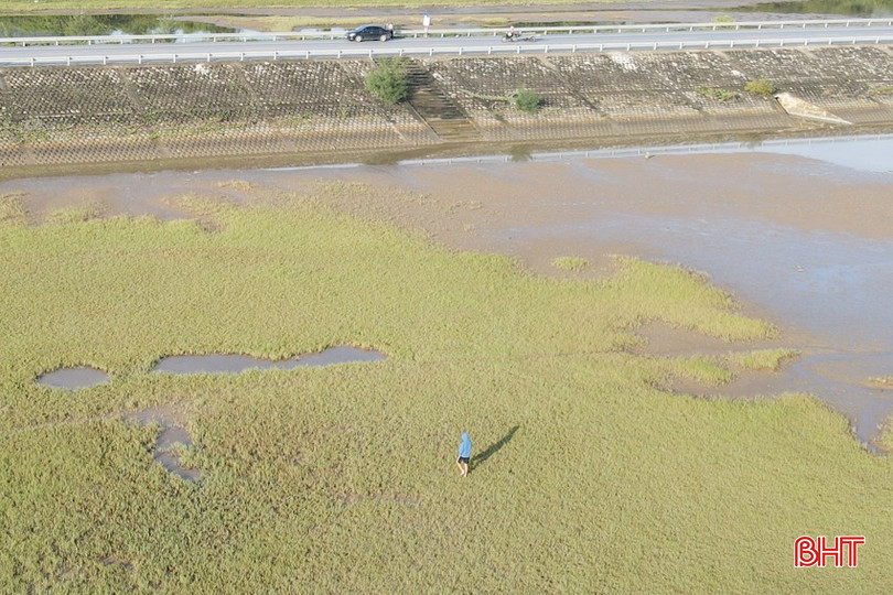 bqbht_br_dji-0988.jpg