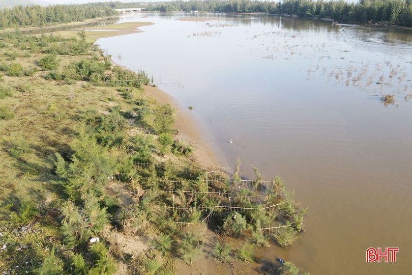 bqbht_br_dji-0985-1-copy.jpg