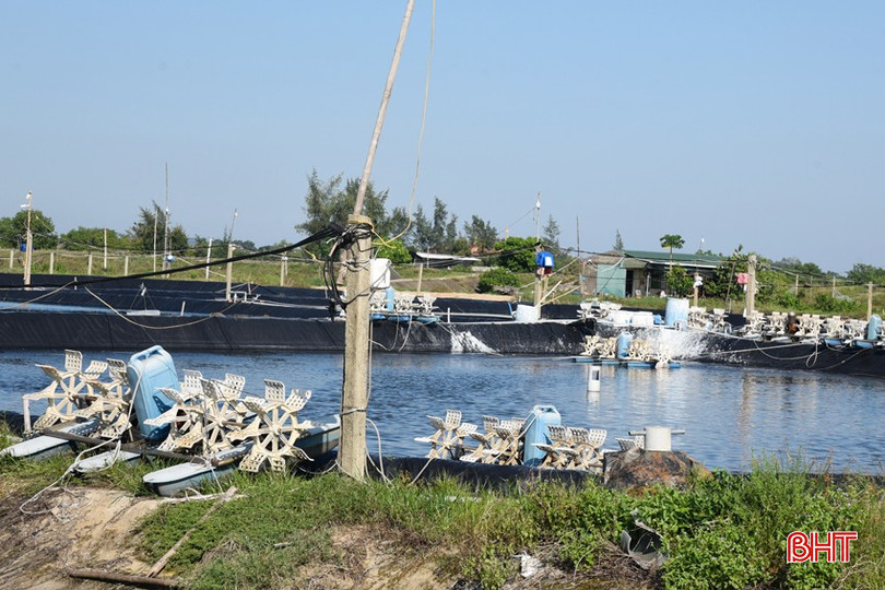 DSC_0894 - Copy.JPG