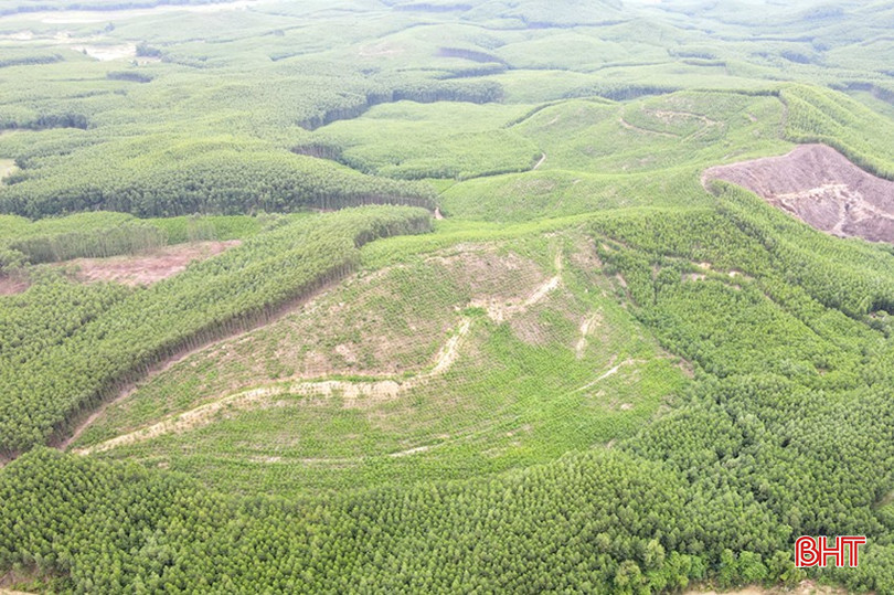 bqbht_br_dt-dji-0860-copy.jpg