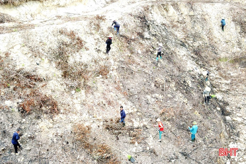 bqbht_br_in-dji-0871-copy.jpg