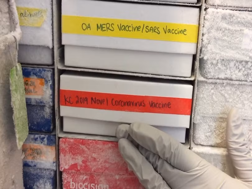 Một mẫu vắc-xin đang thử nghiệm chống virus corona mới được đưa trở lại tủ đông. Ảnh: AP . Trận chiến khốc liệt giữa hệ miễn dịch người với virus corona