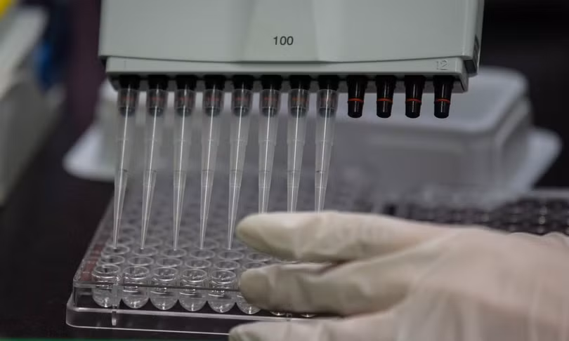 Chưa tìm hiểu được ngọn ngành trận chiến giữa virus và hệ miễn dịch, việc tìm ra vắcxin có thể gặp trở ngại. Ảnh: AFP. Trận chiến khốc liệt giữa hệ miễn dịch người với virus corona