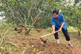 Sớm gỡ vướng để 24 hộ dân được cấp giấy chứng nhận quyền sử dụng đất