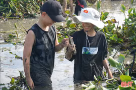 Bắt cá đồng, trải nghiệm thú vui mùa hè ở làng quê